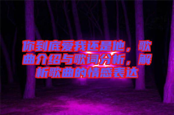 你到底愛我還是他，歌曲介紹與歌詞分析，解析歌曲的情感表達(dá)