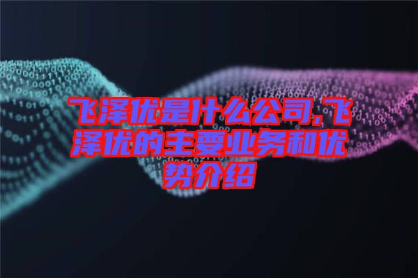 飛澤優是什么公司,飛澤優的主要業務和優勢介紹