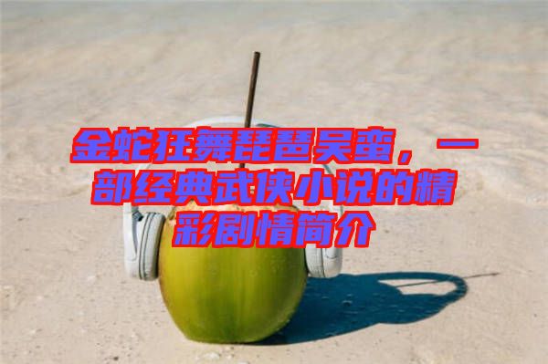 金蛇狂舞琵琶吳蠻，一部經典武俠小說的精彩劇情簡介