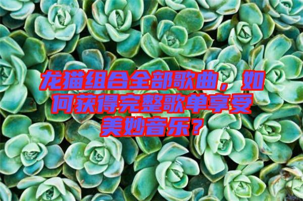 龍貓組合全部歌曲，如何獲得完整歌單享受美妙音樂？