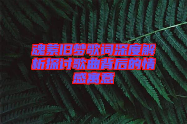 魂縈舊夢歌詞深度解析探討歌曲背后的情感寓意