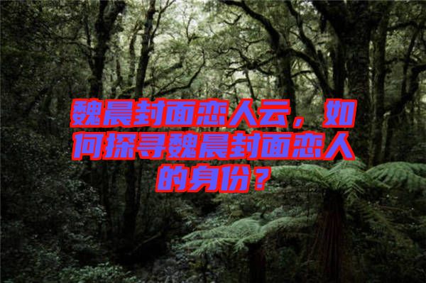 魏晨封面戀人云，如何探尋魏晨封面戀人的身份？