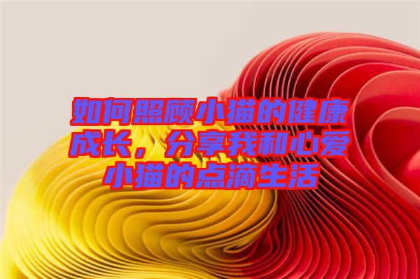 如何照顧小貓的健康成長，分享我和心愛小貓的點滴生活